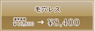 毛穴レス　お試し価格